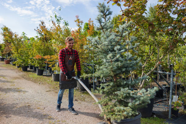 Best Tree Preservation Services  in Mifflinburg, PA